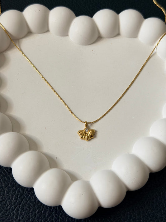 Seashell Necklace